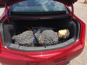 Tilly in the Trunk of the Caddy